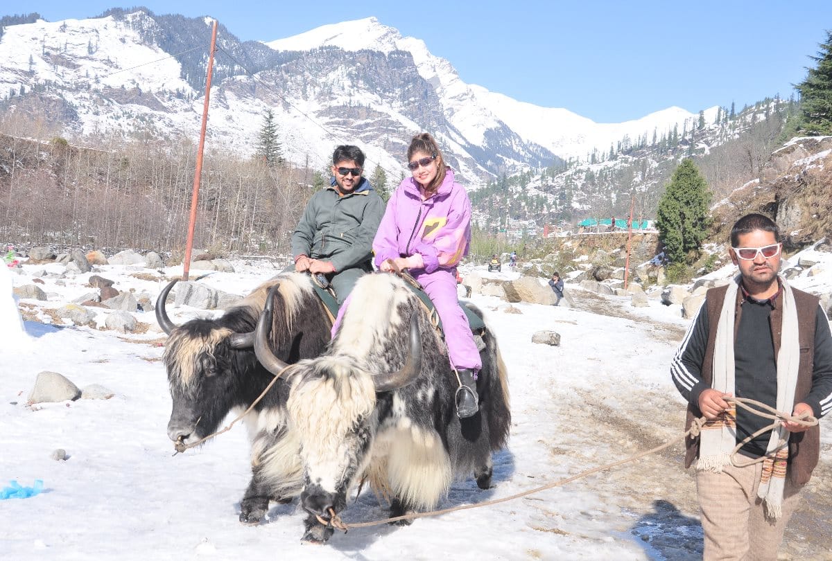 Tourists influx in Himachal pradesh after fresh snowfall, fun in Solang Nala, Up to 40 percent discount on booking in hotels