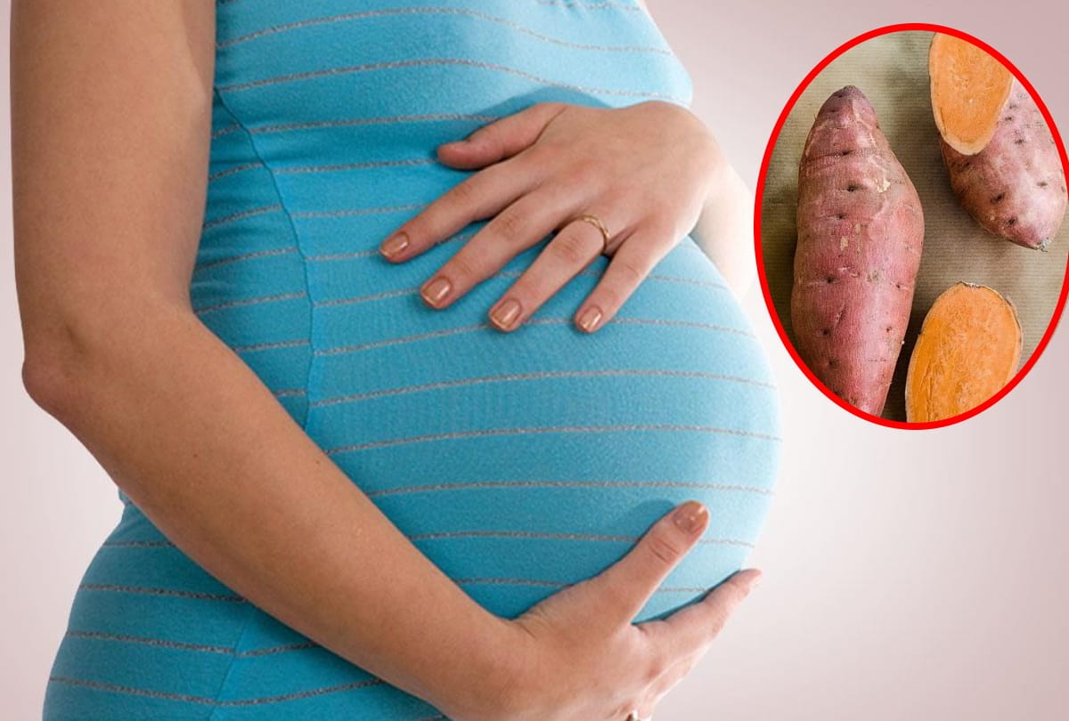 Golden sweet potato very beneficial for pregnant women