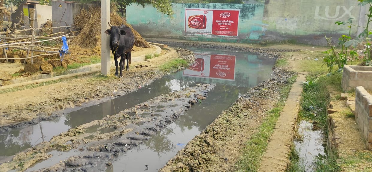 Mud filled on the route in Virsinghpur, how villagers got out