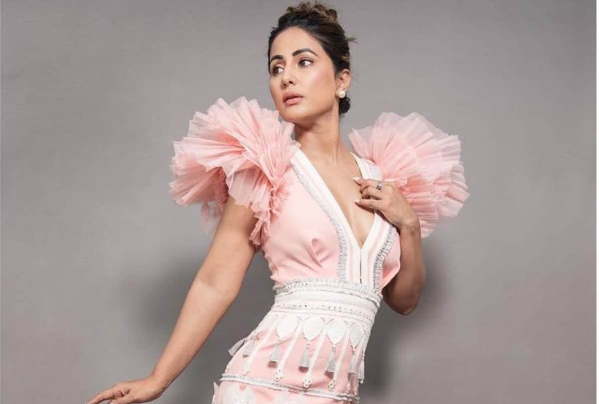 hina khan recently share wearing pink tulle gown troll for its look