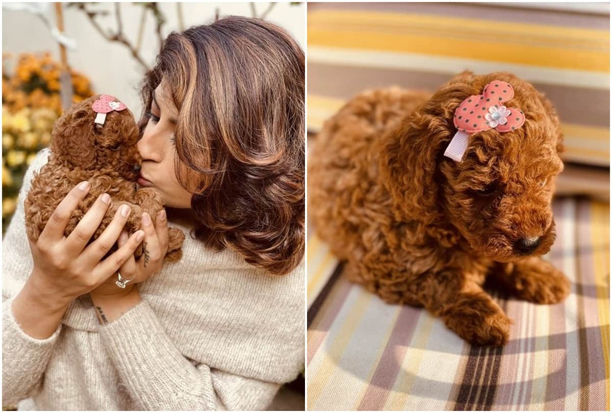 Ayushmann khurrana tahira kashyap welcomes new family member share pictures on instagram