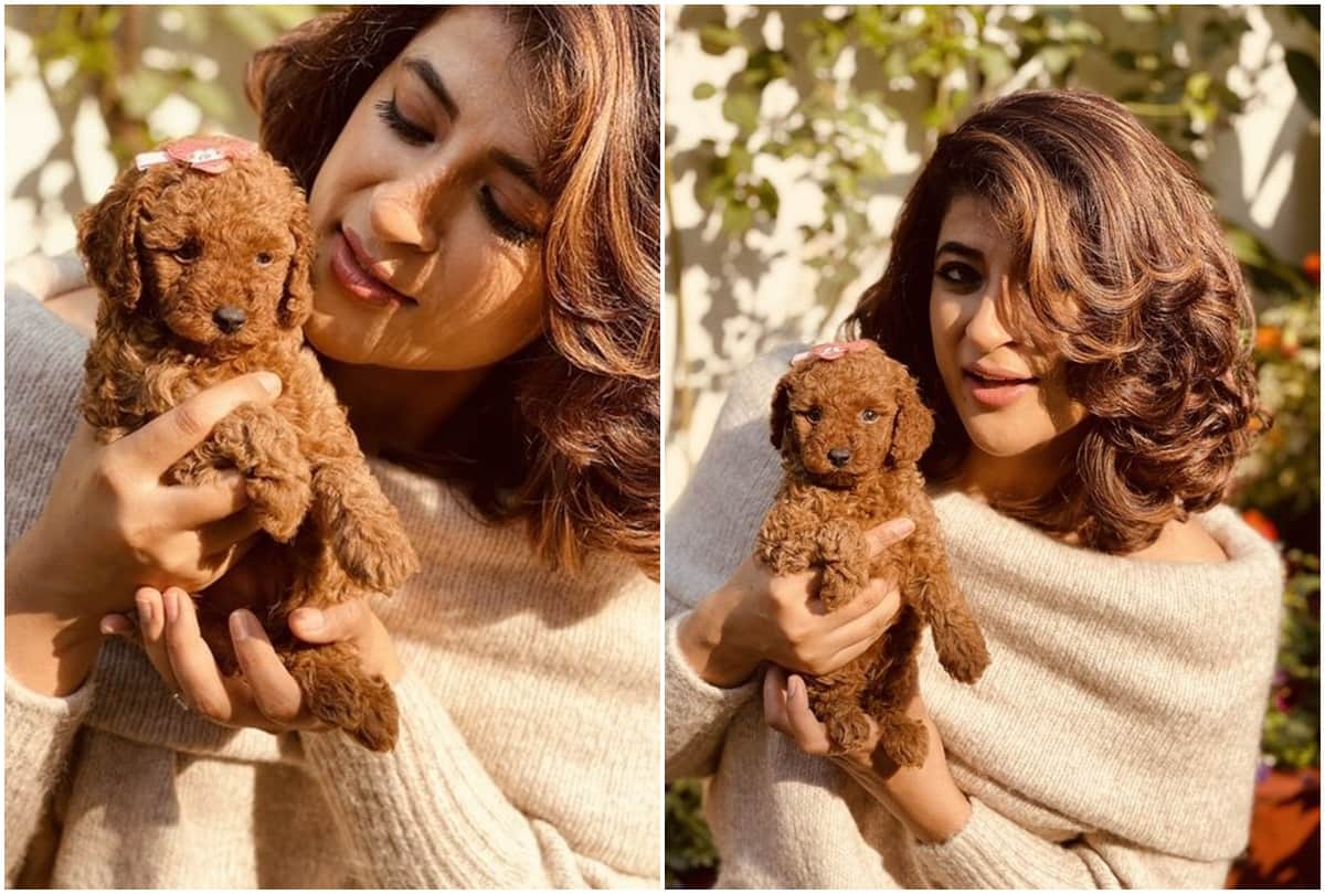 Ayushmann khurrana tahira kashyap welcomes new family member share pictures on instagram