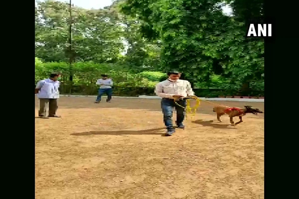 Tracker dog two police personnel awarded cop of the month in Chhattisgarh Raigarh
