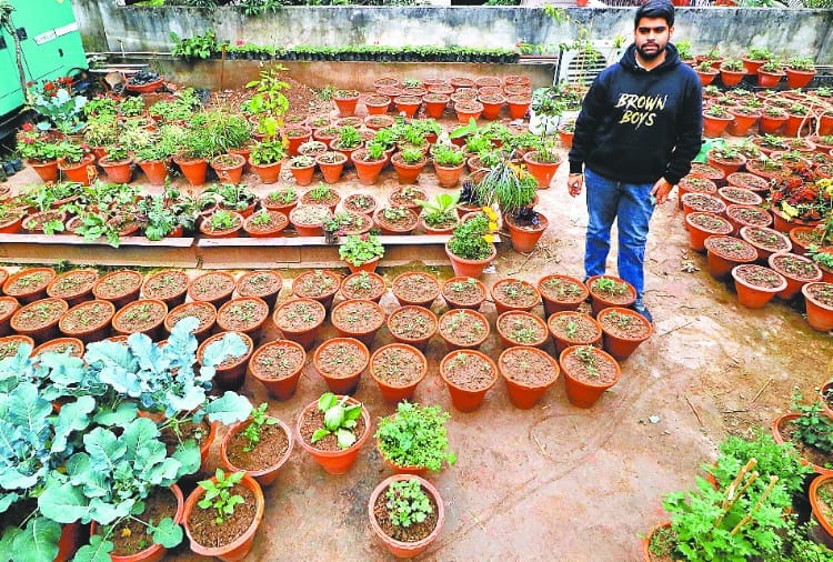 Garden of a advocate in chandigarh contained one thousand plant  