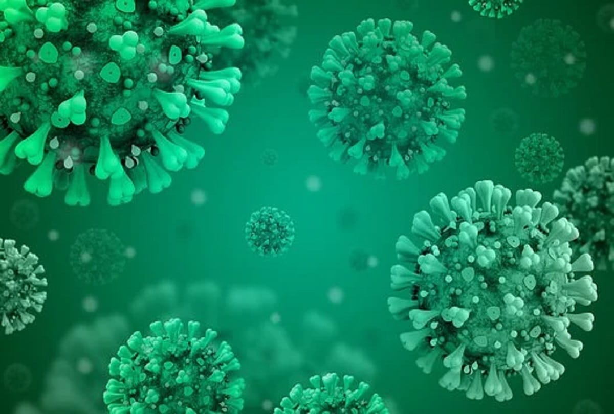 Coronavirus new strain south africa covid 19 variant coronavirus vaccine