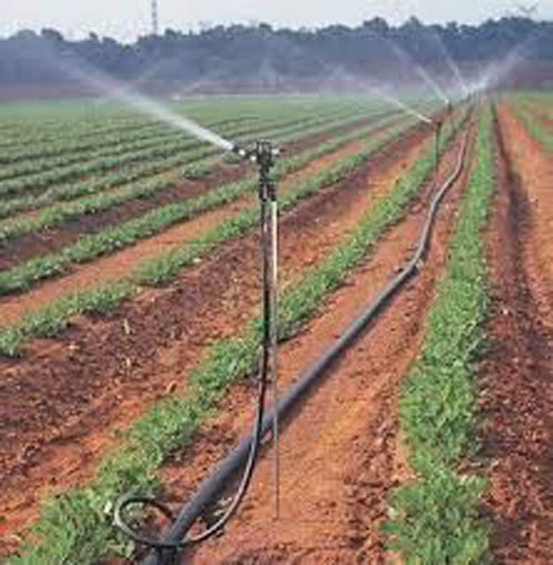 No budget for this sprinkler set