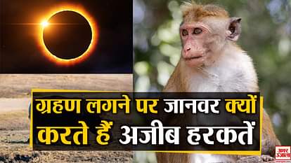 why animals react weirdly on solar eclipse