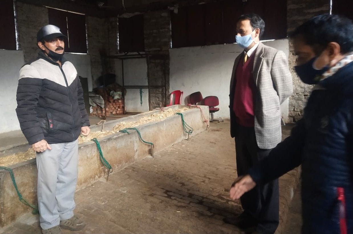 dc visit cow sadan in chamba