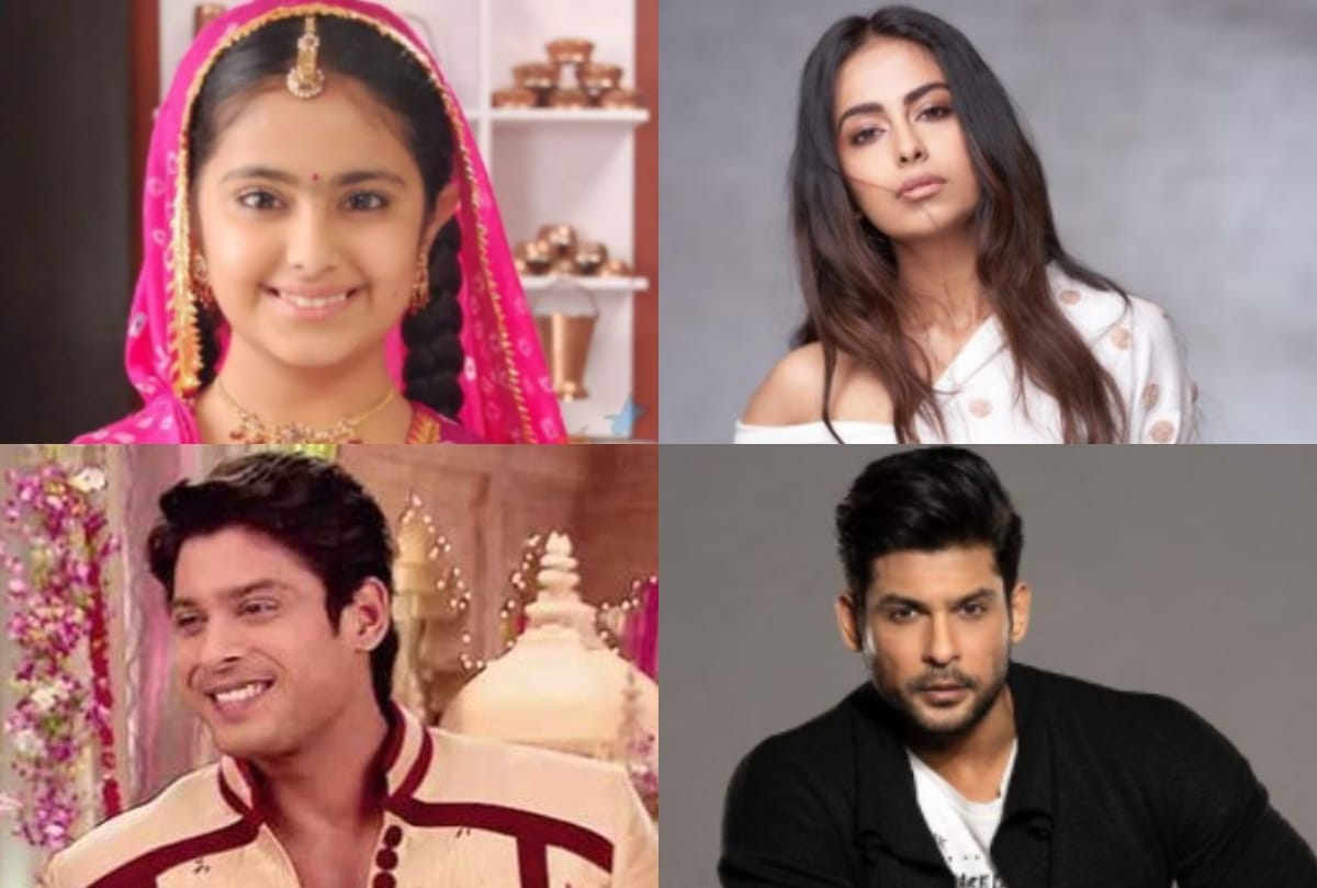 Balika Vadhu Actors Stunning Transformation From Their Reel to real life
