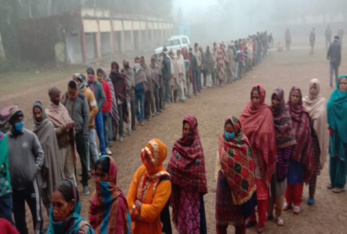 Jammu and Kashmir DDC Election live update Polling of seventh phase of District Development Council DDC elections