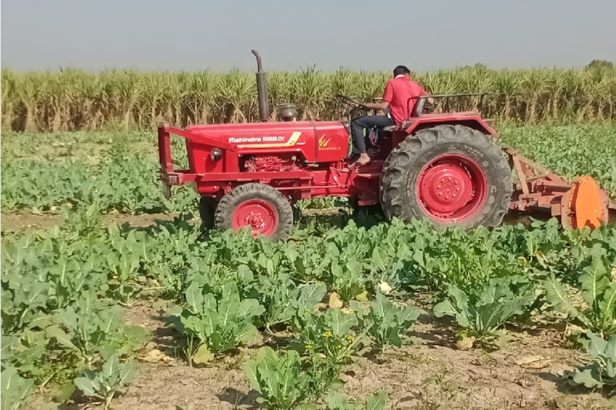 Krishi Tips how to find difference between good and bad fertilizer know the method