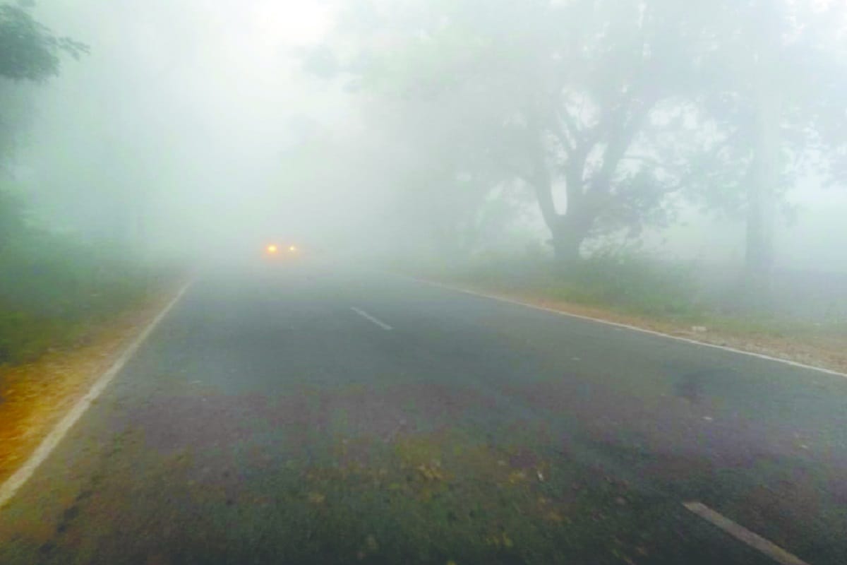 temprature reached below normal due to cold wave in western UP, night temperature six degrees down