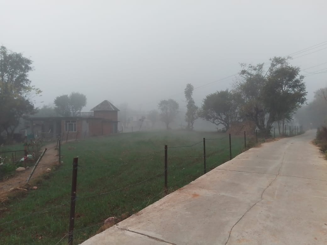 Trouble in Sarkaghat and Nerchauk due to haze