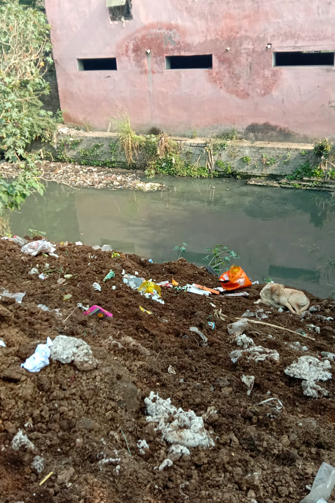 Trash being dumped in Dhamola near Wetland