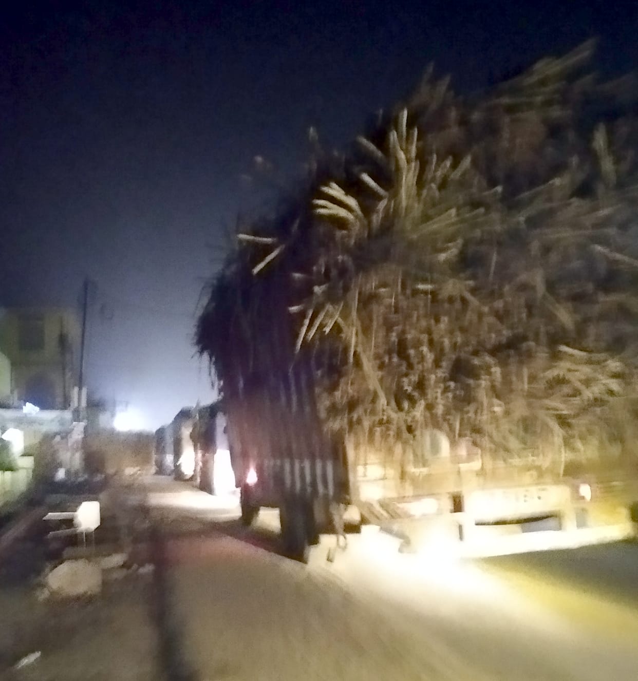 Sugarcane being smuggled from Shamli and being sent to Punjab