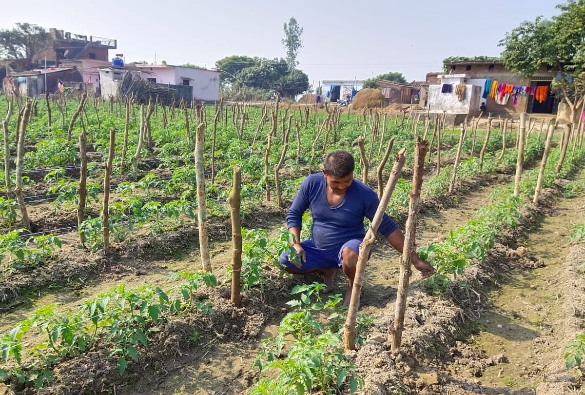 man increased income by growing crops in rented fields at Maharajganj