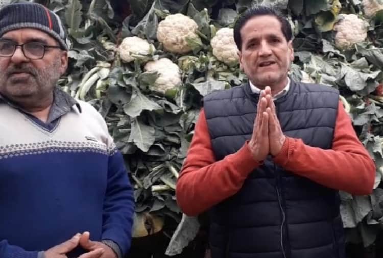 Vegetable prices fell because of farmer protest