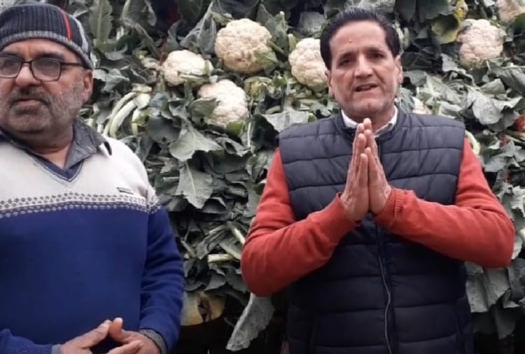 Vegetable prices fell because of farmer protest