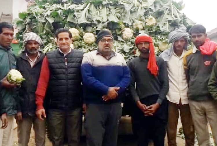 Vegetable prices fell because of farmer protest