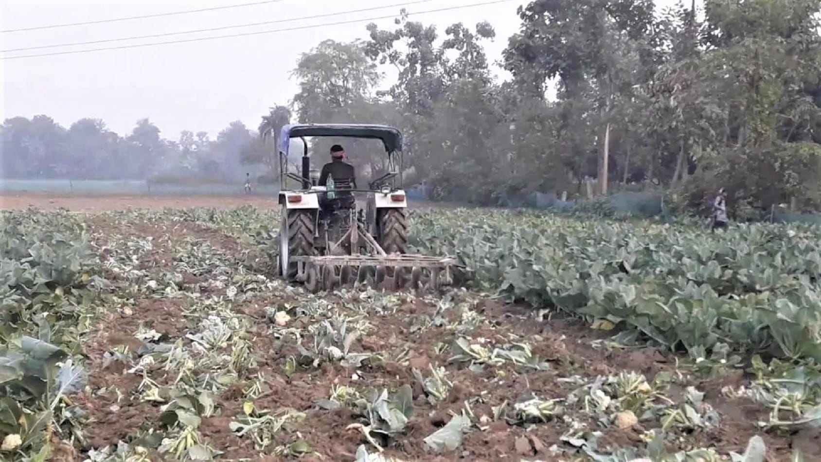new agriculture law benefit bihar samastipur farmer sold cornflower 10 times higher rate in delhi with union minister ravi shankar prasad