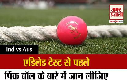 Ind vs Aus: Know every detail of Pink ball how it is different from Red ball