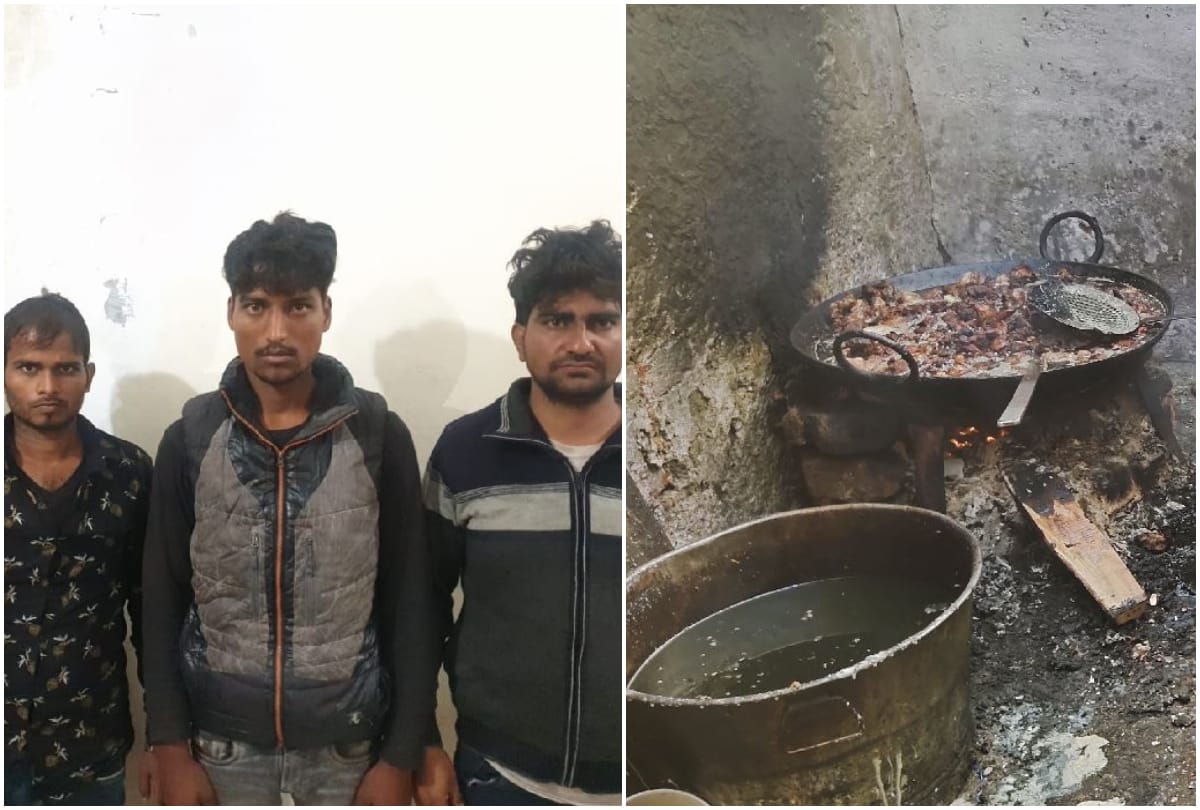 Duplicate Ghee Made By Animal Bone And Fat In Agra Read Full Story