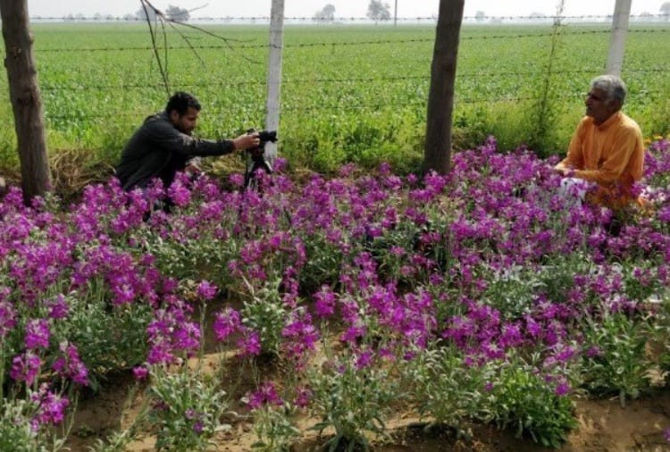 Documentary made by haryana director nominated in international film festival 