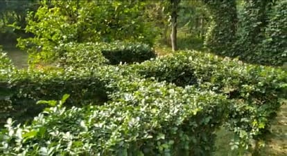 shape of gods carved in plants animals birds and religious symbols also attracts everyone mind in jaunpur