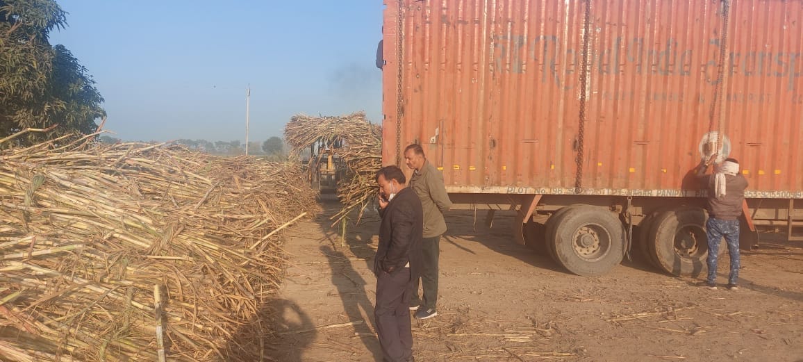 Illegal purchase caught in Yamuna Khadar, sugarcane confiscated