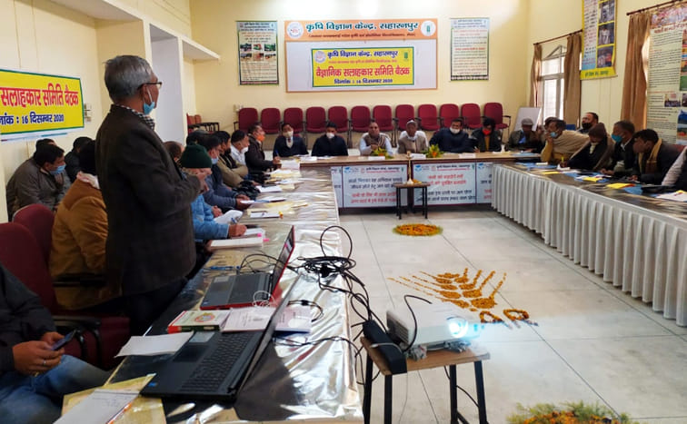 Income growth of mushroom growers in lockdown