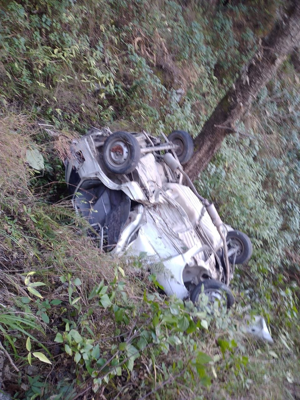 Driver dies after falling into a car ditch
