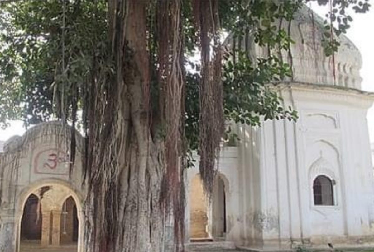 Gorakhnath Temple in Pakistan News: Pakistan Gorakhnath temple special story