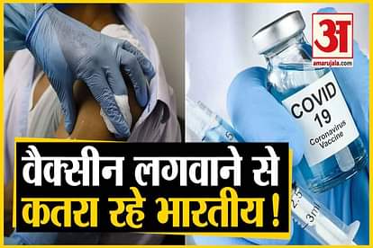 survey report on corona vaccination in india