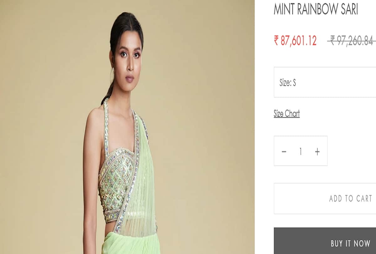 urvashi rautela mint green saree cost worth 87k photos viral on social media