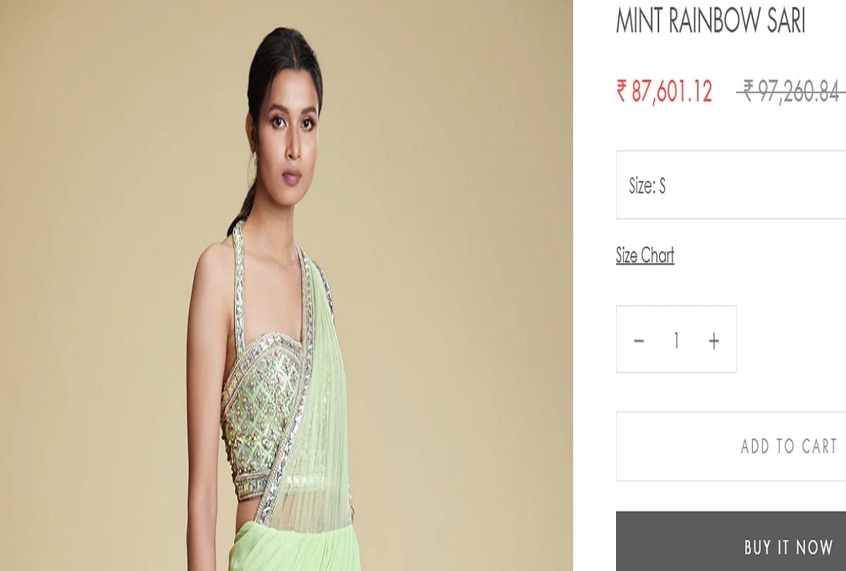 urvashi rautela mint green saree cost worth 87k photos viral on social media