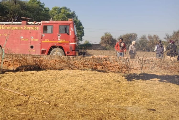 Haryana Fire News: Thirteen Buffalo died after fire in cattle fence  