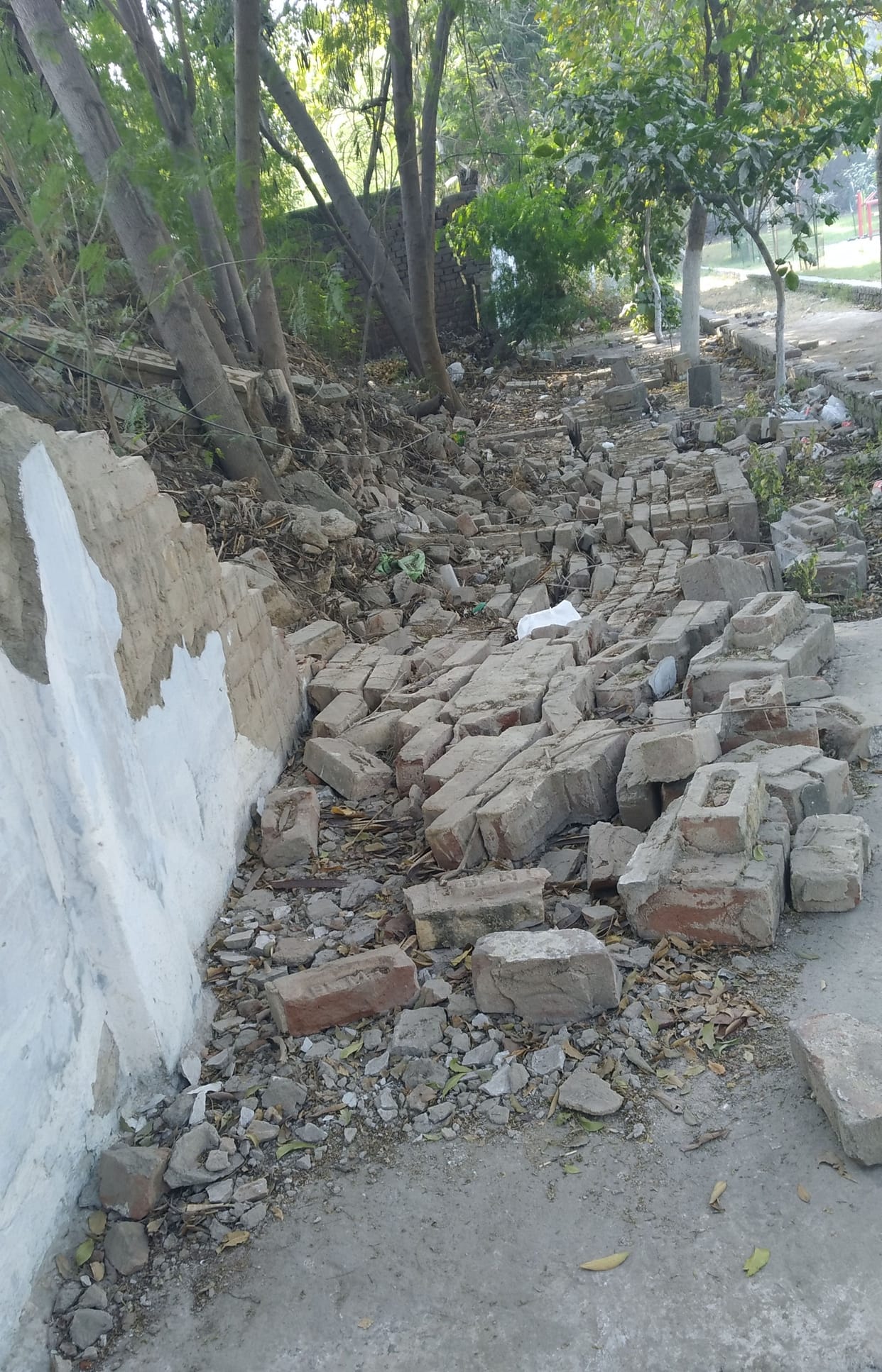 Shaheed Raja Nahar Singh Park where there is no place to roam