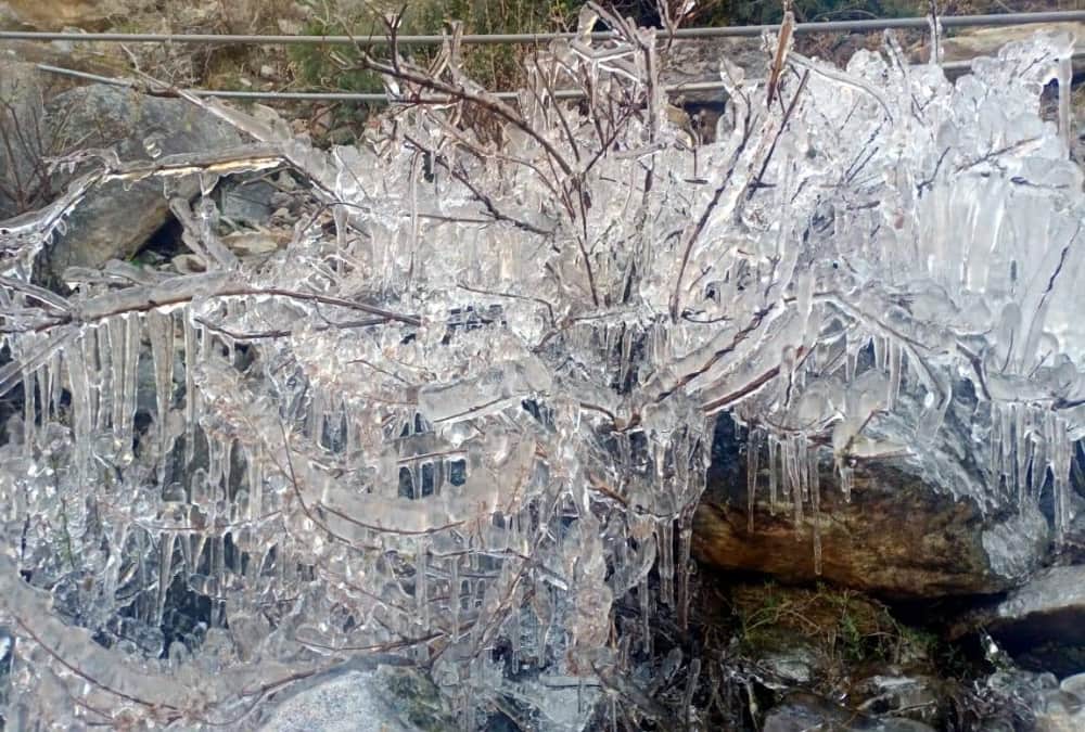 Weather Forecast Today Update in Uttarakhand: Waterfall become Snow and Frost Freeze on Tree after bitter cold