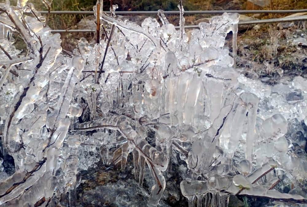Weather Forecast Today Update in Uttarakhand: Waterfall become Snow and Frost Freeze on Tree after bitter cold