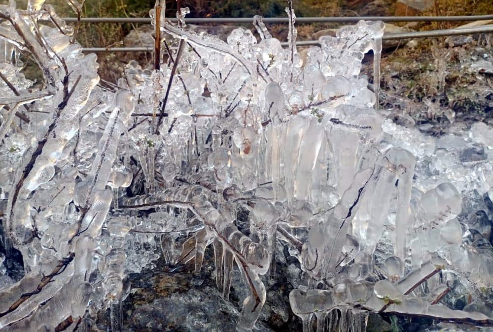 Weather Forecast Today Update in Uttarakhand: Waterfall become Snow and Frost Freeze on Tree after bitter cold