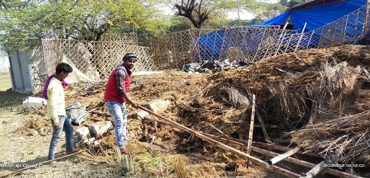 Cows suffering from hunger and thirst after breaking the boundary