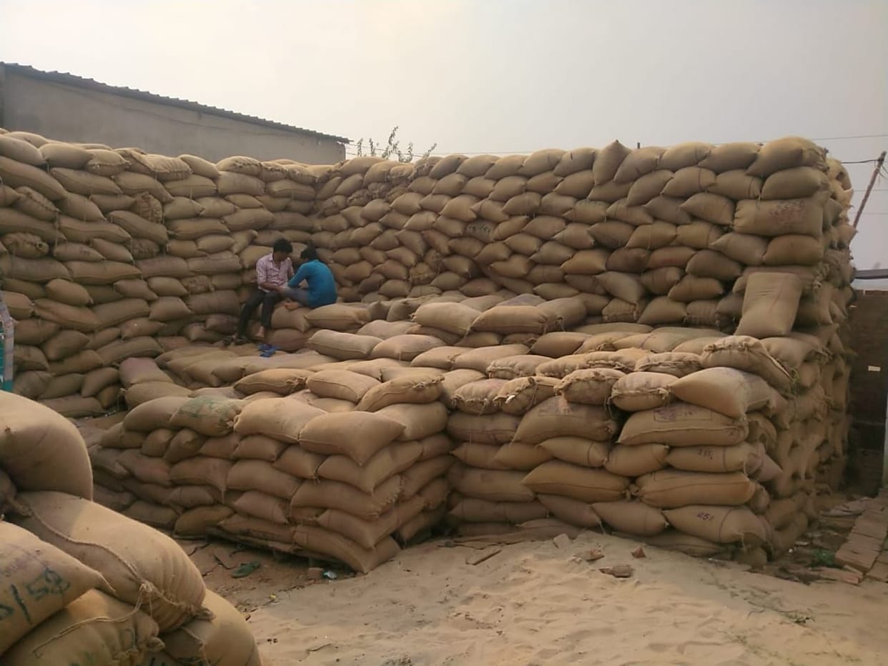 DM tightened, officers bought paddy standing at purchasing centers