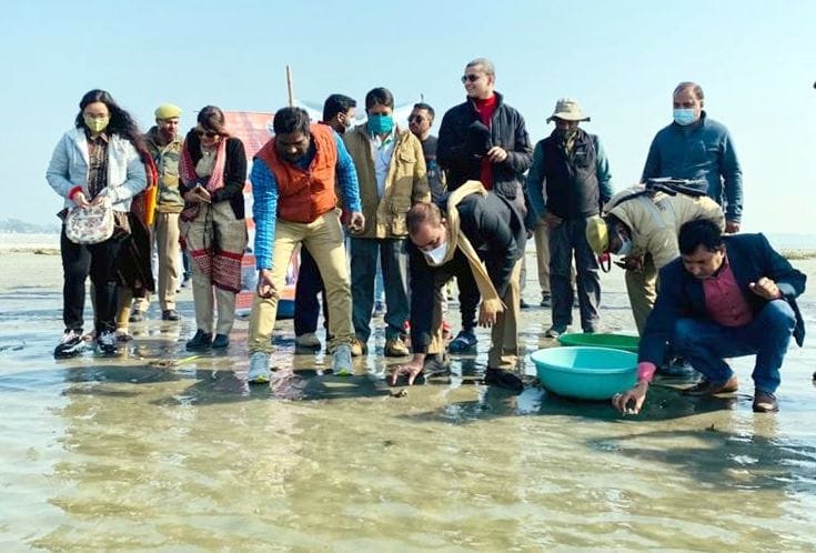 104 children of turtles released in the Ganges stream