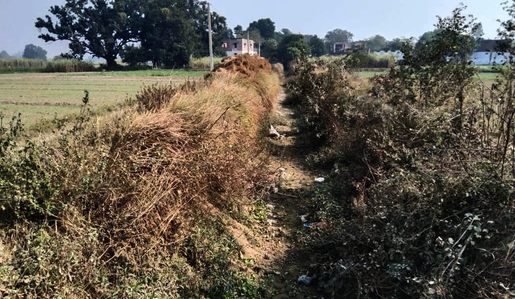 Canals were not cleaned, how did water reach the fields