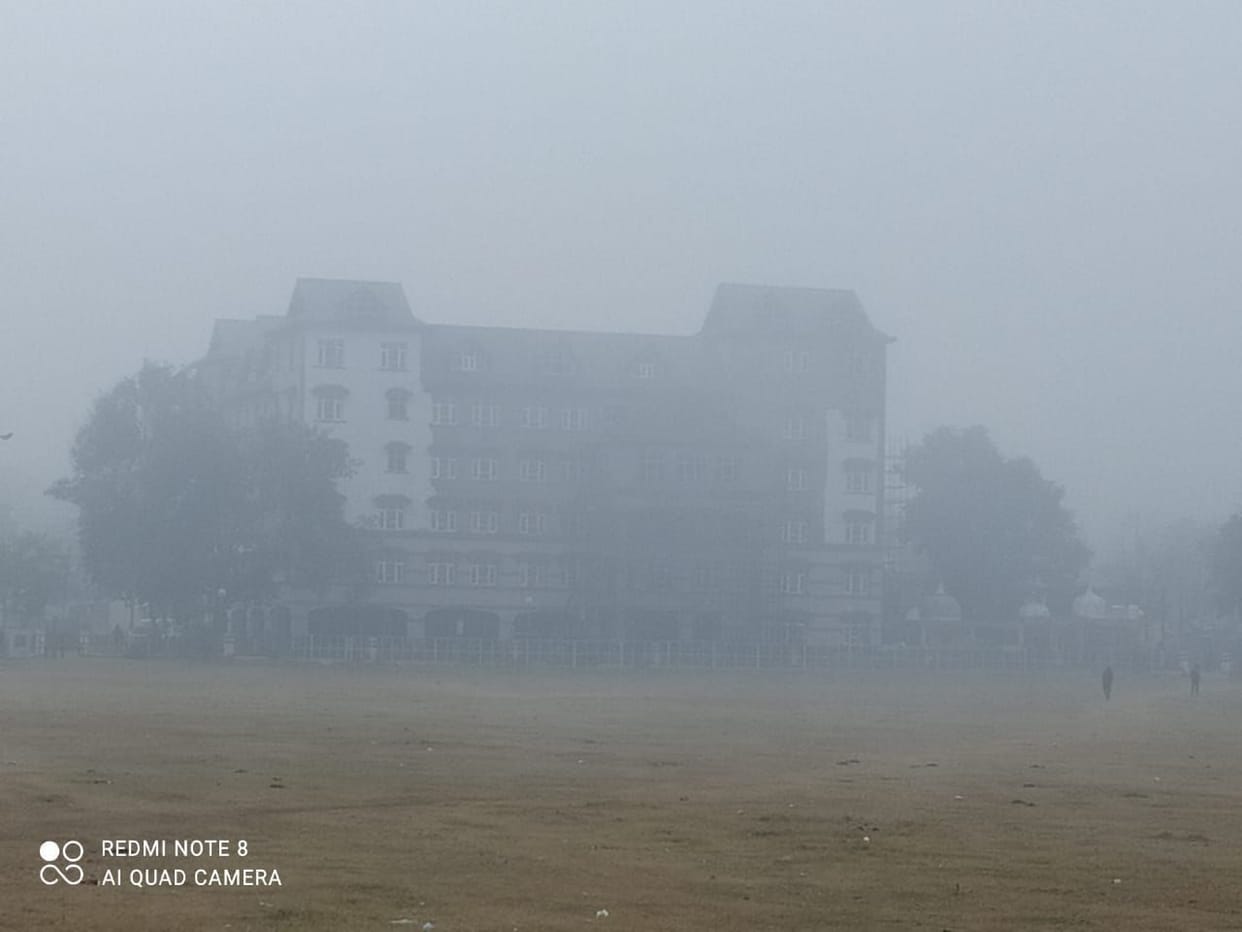 cohra increase cold in hamirpur