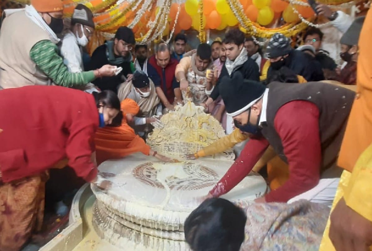 thakur banke bihari prakatya utsav celebrations in vrindavan