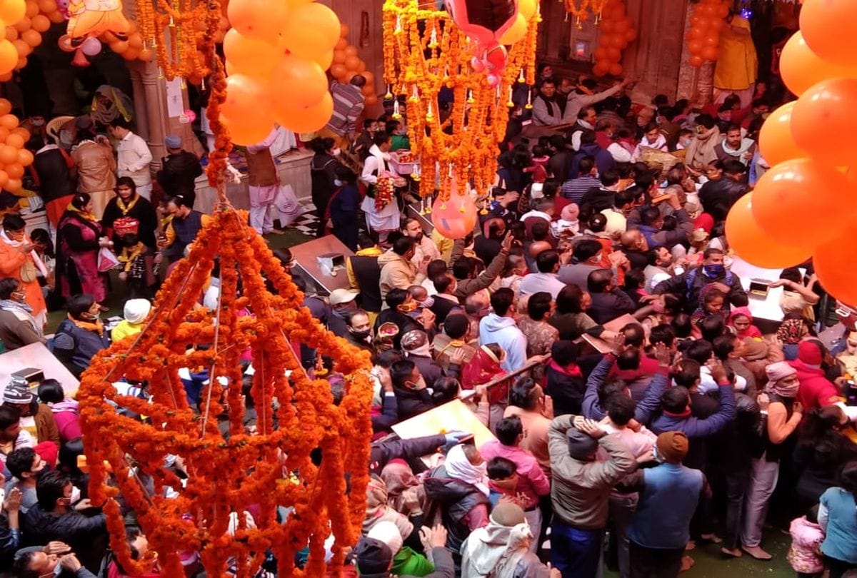 thakur banke bihari prakatya utsav celebrations in vrindavan