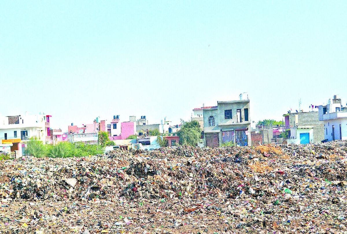Sewala local cleaned the garbage and planted trees in agra