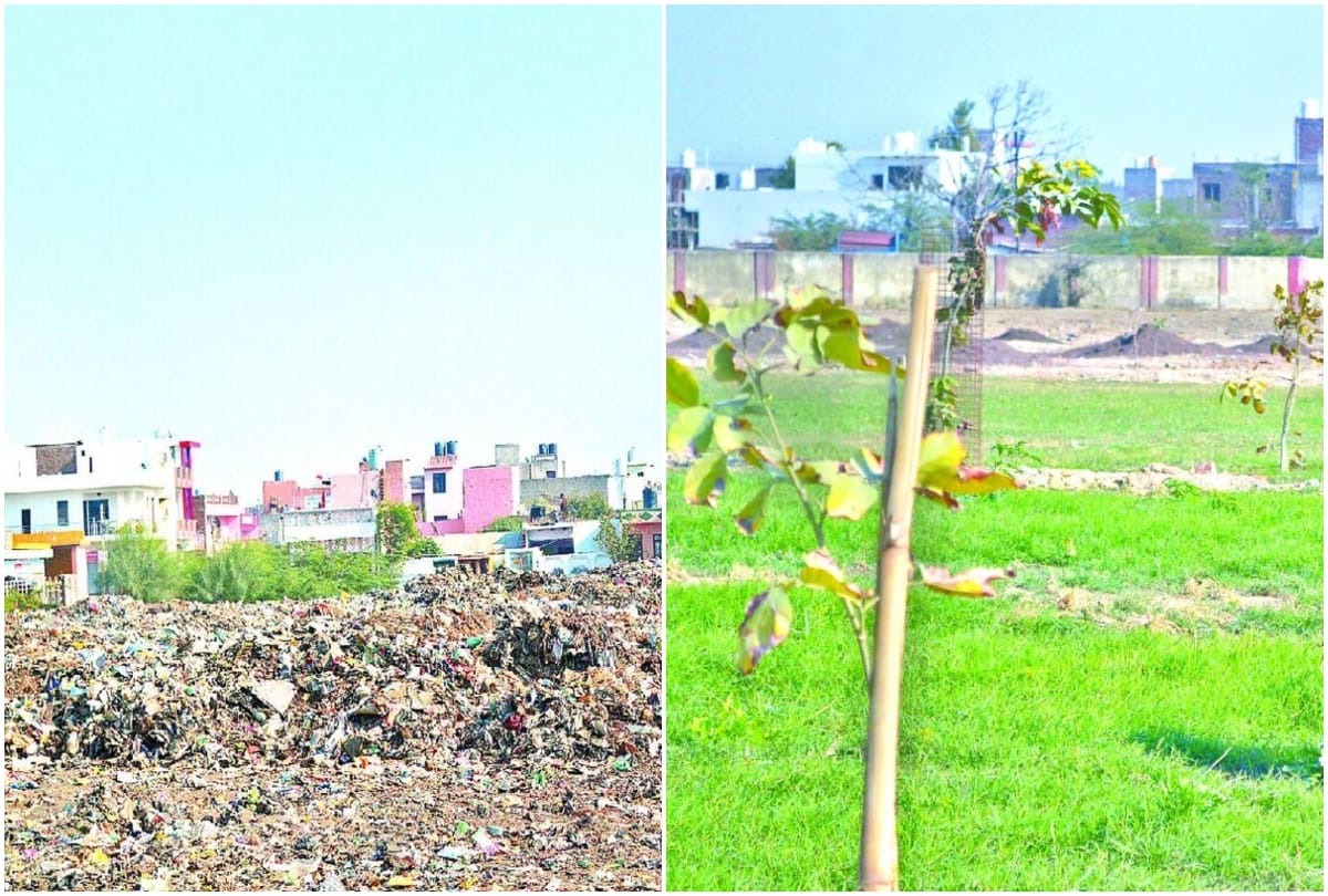 Sewala local cleaned the garbage and planted trees in agra