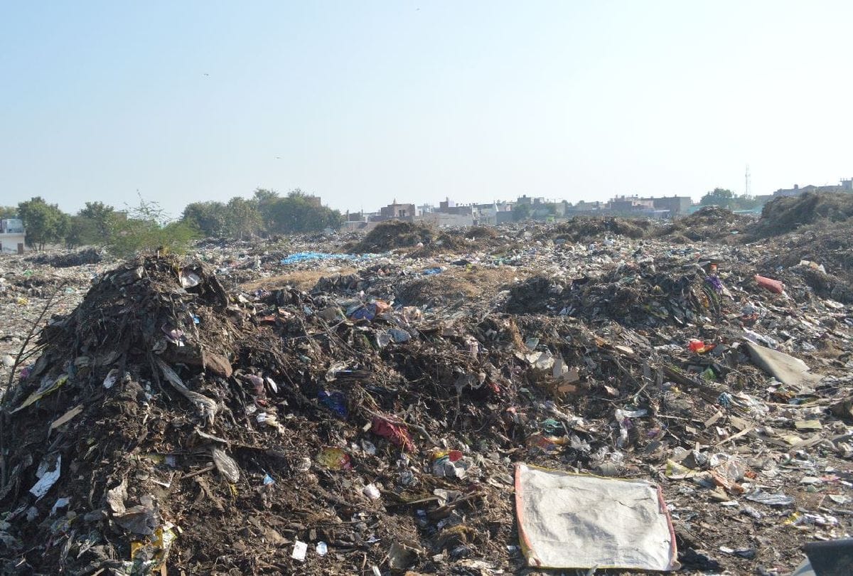 Sewala local cleaned the garbage and planted trees in agra